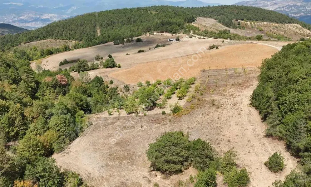 GEYVE AHİBABA'DA 4437 m² RESMİ YOLA CEPHELİ YATIRIMLIK ARAZİ