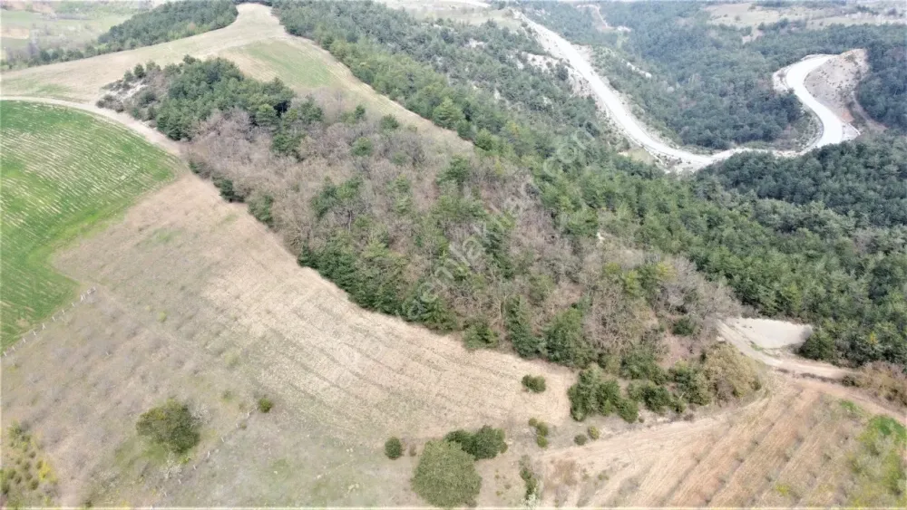 GEYVE AHİBABA'DA 4437 m² RESMİ YOLA CEPHELİ YATIRIMLIK ARAZİ