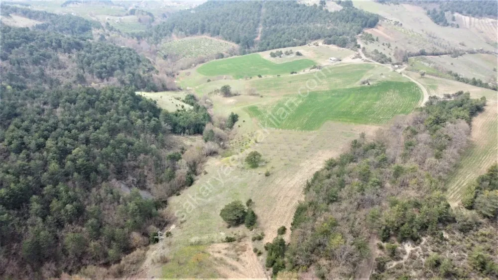 GEYVE AHİBABA'DA 4437 m² RESMİ YOLA CEPHELİ YATIRIMLIK ARAZİ