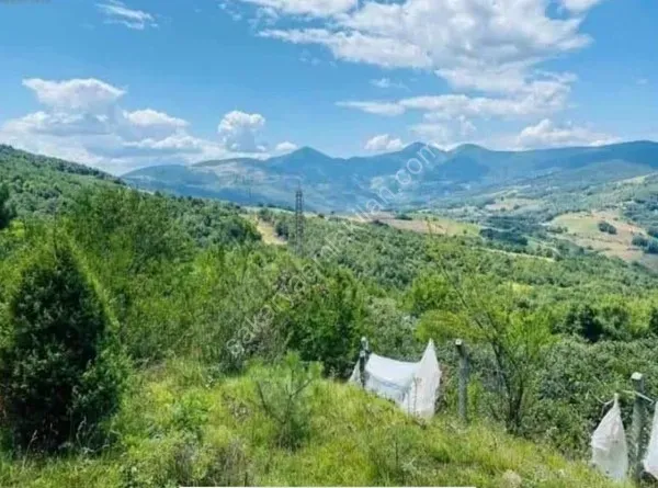 GEYVE AKINCI DEREKÖY’DE 1114 m² YOLA CEPHELİ HOBİ BAHÇELİK FIRSAT ARAZİ