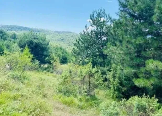 GEYVE AKINCI DEREKÖY’DE 1114 m² YOLA CEPHELİ HOBİ BAHÇELİK FIRSAT ARAZİ