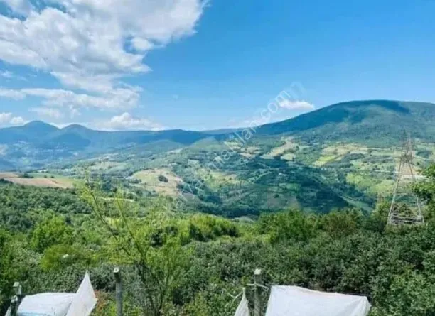 GEYVE AKINCI DEREKÖY’DE 1114 m² YOLA CEPHELİ HOBİ BAHÇELİK FIRSAT ARAZİ