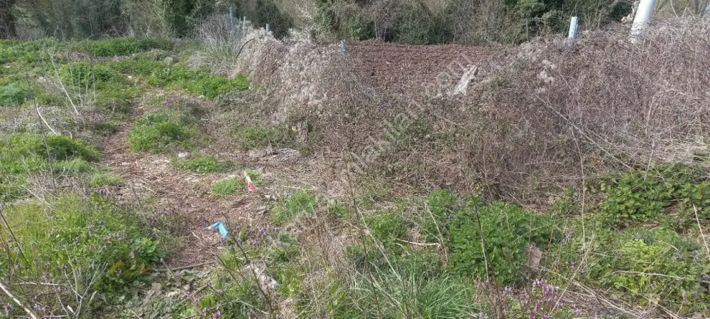 GEYVE AKINCI KÖYÜNDE 451 m² % 40 - 2 KAT KONUT İMARLI MANZARALI FIRSAT ARSA