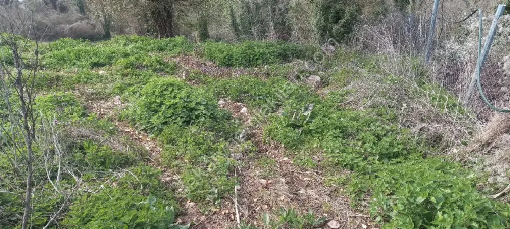 GEYVE AKINCI KÖYÜNDE 451 m² % 40 - 2 KAT KONUT İMARLI MANZARALI FIRSAT ARSA