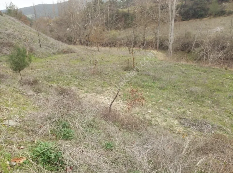 GEYVE ÇAMLIK KÖYÜNDE TAM YATIRIMLIK YOLA CEPHE 1056 m² FIRSAT HOBİ BAHÇESİ