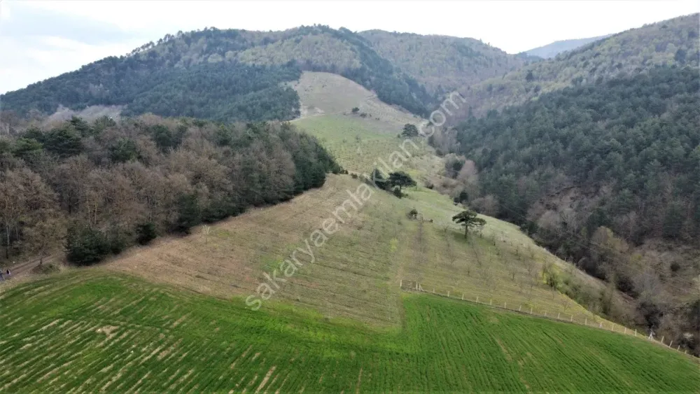 GEYVE AHİBABA KÖYÜNDE 10782 m² ARAÇ TAKASLI, EMSALLERİNE GÖRE HESAPLI FIRTSAT ARAZİ