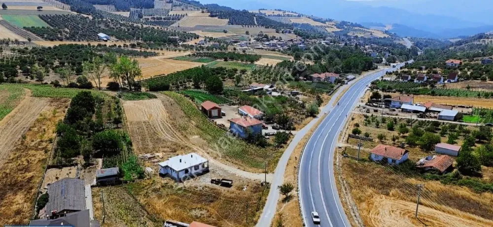 ACİL !!! SAKARYA TARAKLI HACIYAKUP KÖYÜNDE ANAYOLA YAKIN KONUMDA 1453 m² HESAPLI TARLA