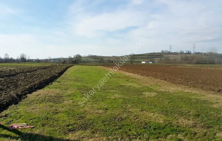 ADAPAZARI ÖRENTEPE MAHALLESİNDE SATILIK 891 M2 TARLA