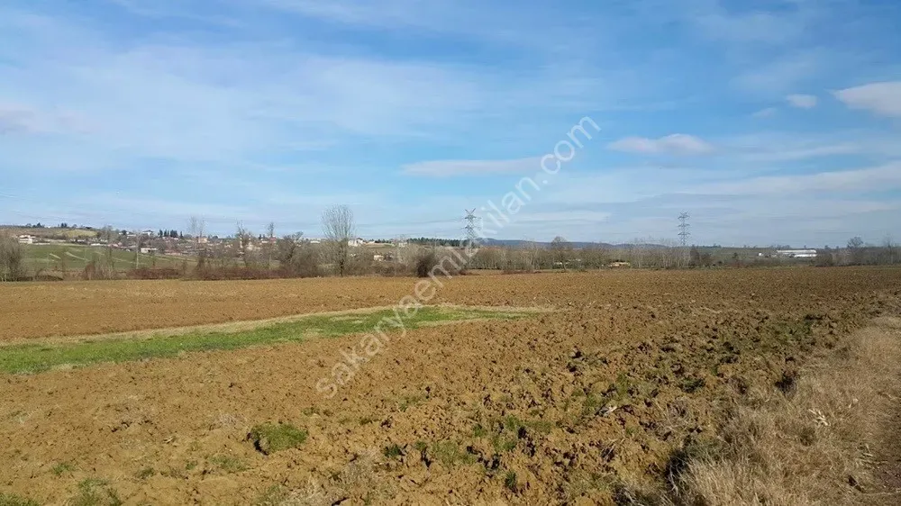 ADAPAZARI ÖRENTEPE MAHALLESİNDE SATILIK 891 M2 TARLA
