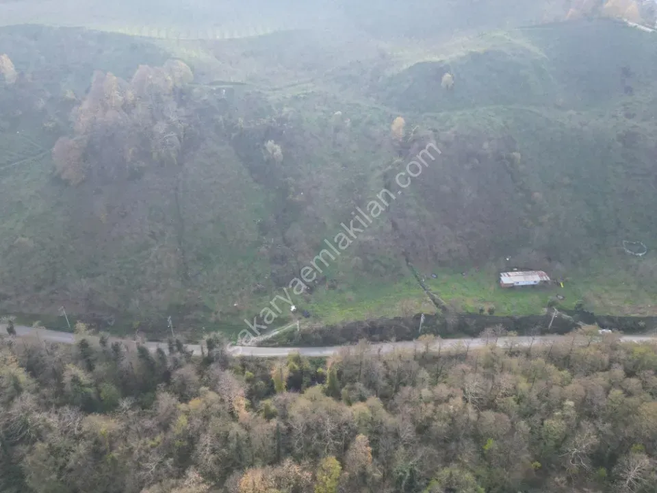 AYDIN EMLAK'TAN 16.221 m2 SATILIK İMARLI ARSA TAŞBURUN / AKYAZI