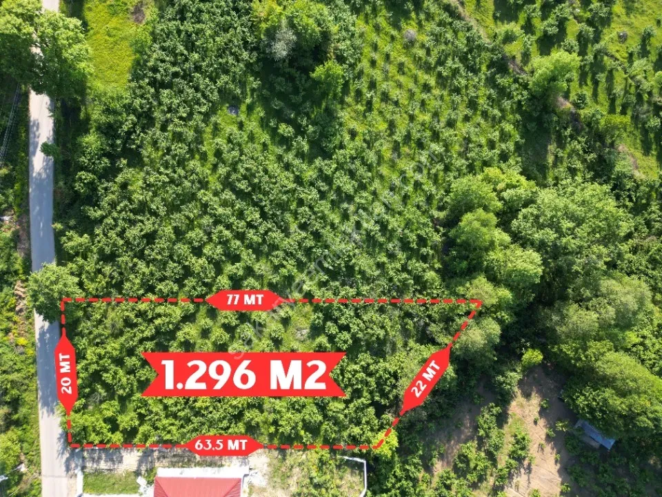 AYDIN EMLAK'TAN SATILIK İMARLI 1.296 m2 ARSA BIÇKIDERE / AKYAZI