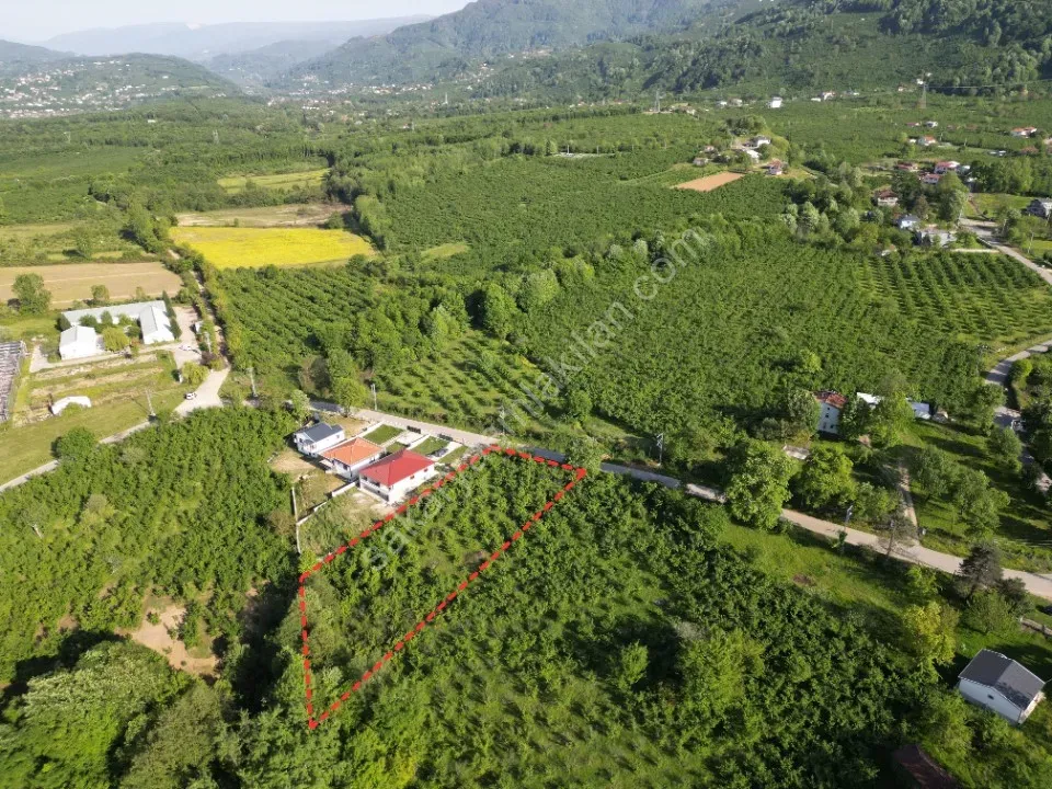 AYDIN EMLAK'TAN SATILIK İMARLI 1.296 m2 ARSA BIÇKIDERE / AKYAZI