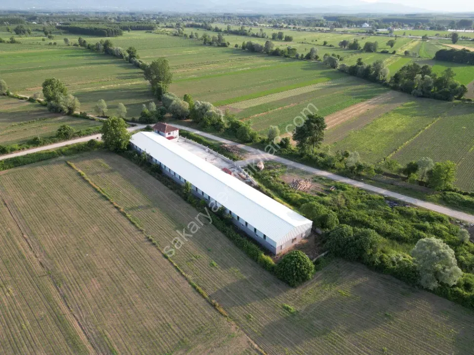 ESKİBEDİL / AKYAZI ÜRETİM TESİSİ KİRALIK 1.600 m2 ÇEVRE YOLUNA 800mt MESAFEDE