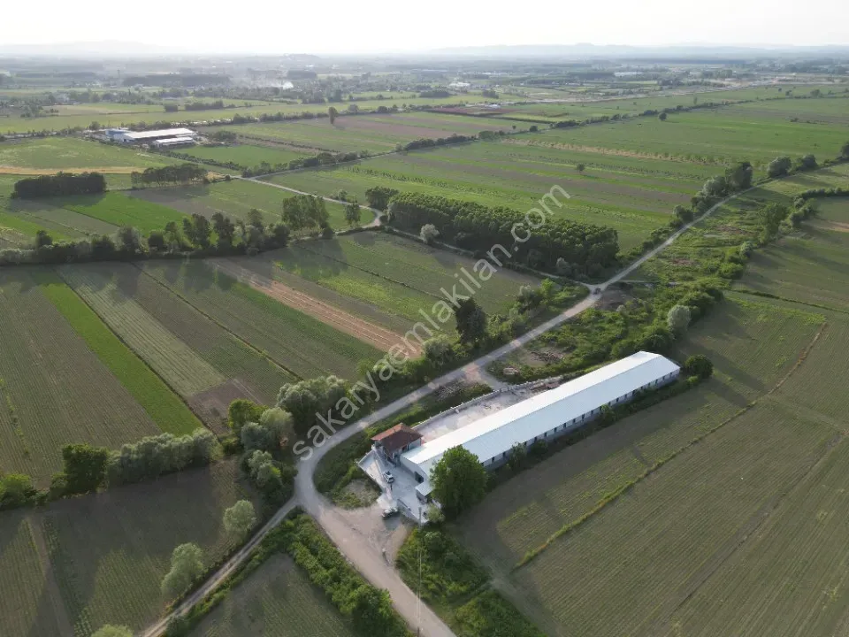 ESKİBEDİL / AKYAZI ÜRETİM TESİSİ KİRALIK 1.600 m2 ÇEVRE YOLUNA 800mt MESAFEDE