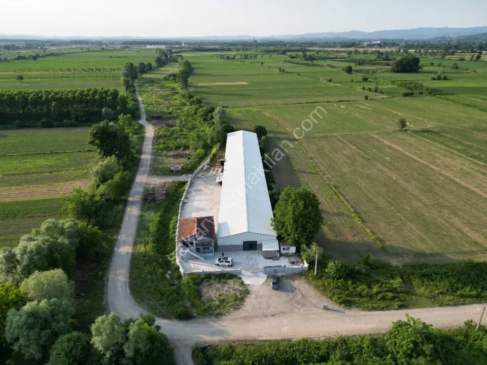 ESKİBEDİL / AKYAZI ÜRETİM TESİSİ KİRALIK 1.600 m2 ÇEVRE YOLUNA 800mt MESAFEDE