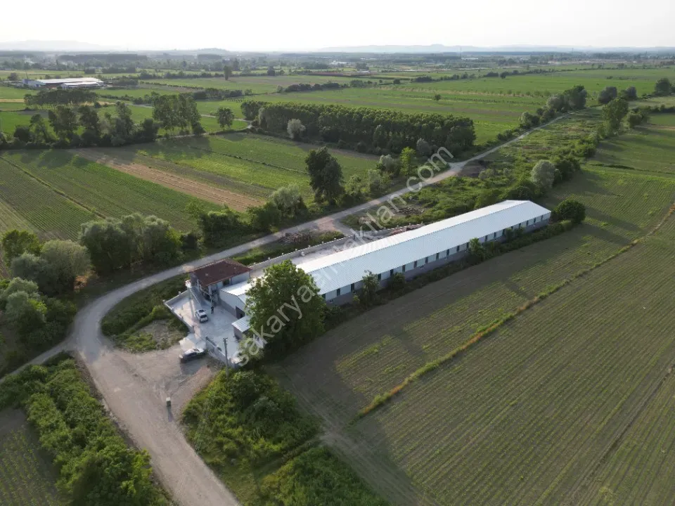 ESKİBEDİL / AKYAZI ÜRETİM TESİSİ KİRALIK 1.600 m2 ÇEVRE YOLUNA 800mt MESAFEDE