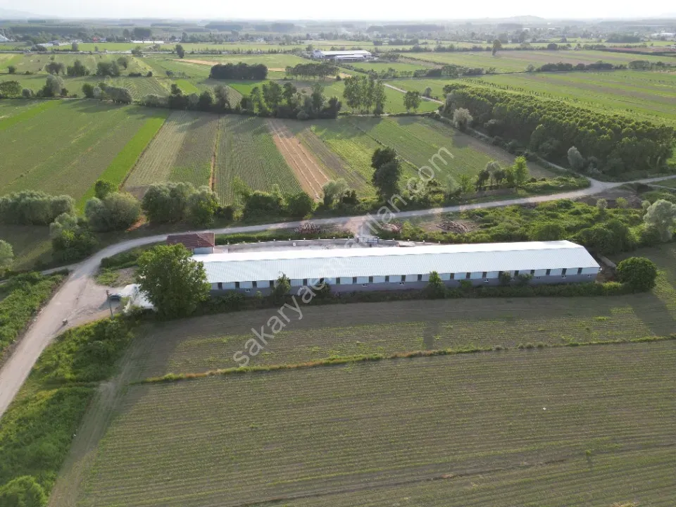 ESKİBEDİL / AKYAZI ÜRETİM TESİSİ KİRALIK 1.600 m2 ÇEVRE YOLUNA 800mt MESAFEDE