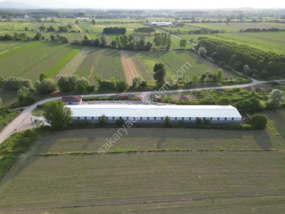 ESKİBEDİL / AKYAZI ÜRETİM TESİSİ KİRALIK 1.600 m2 ÇEVRE YOLUNA 800mt MESAFEDE