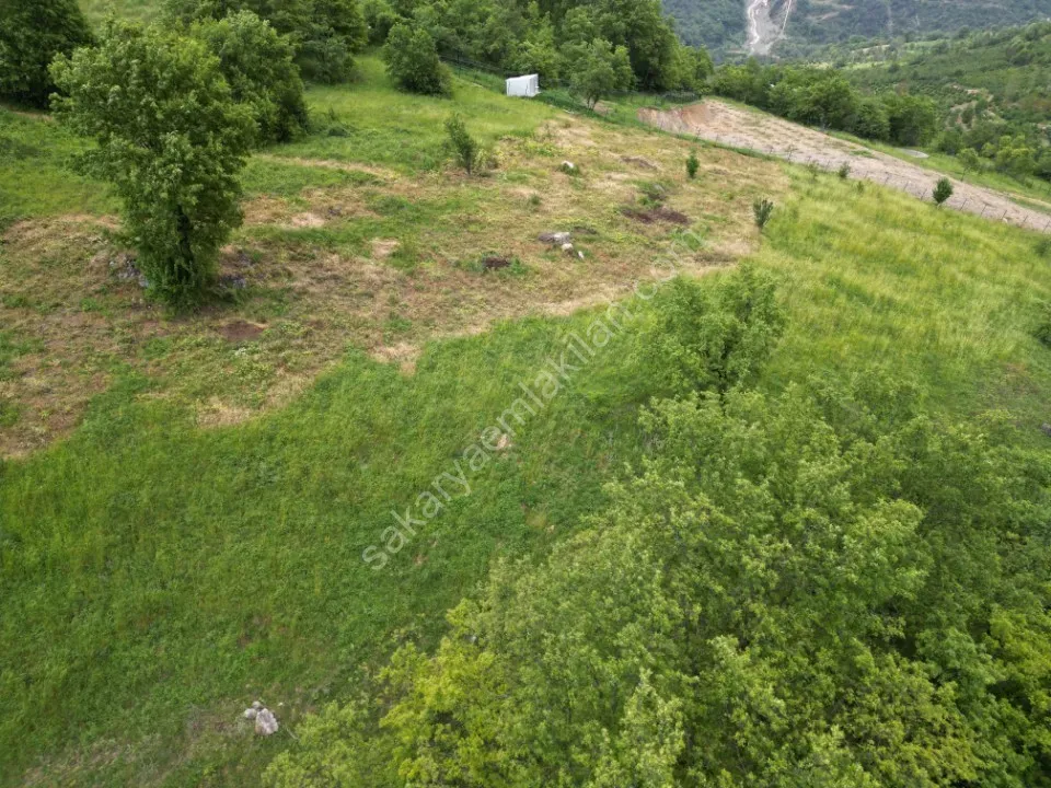 SÜLÜKLÜGÖL YOLUNDA 5.930 m2 TARLA SATILIK DOKURCUN / MUDURNU / BOLU
