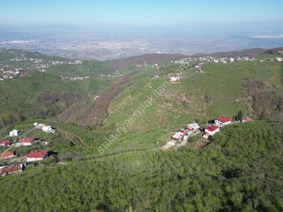 AKYAZI / M.YENİKÖY'DE SATILIK BAHÇE 2.518 m2