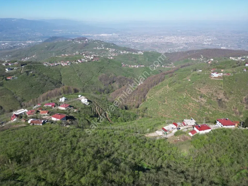 AKYAZI / M.YENİKÖY'DE SATILIK BAHÇE 2.518 m2