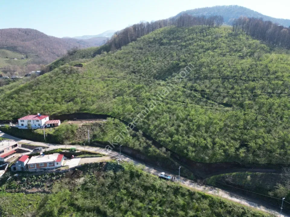 AKYAZI / M.YENİKÖY'DE SATILIK BAHÇE 2.518 m2