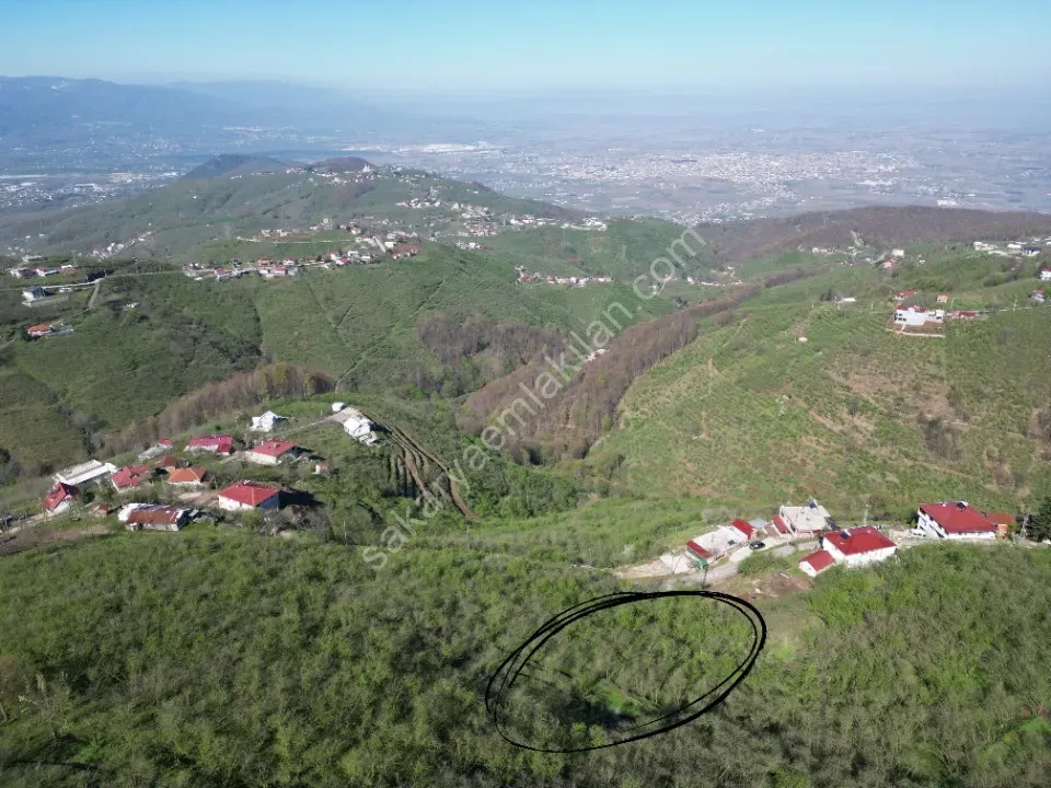 AKYAZI / M.YENİKÖY'DE SATILIK BAHÇE 2.518 m2