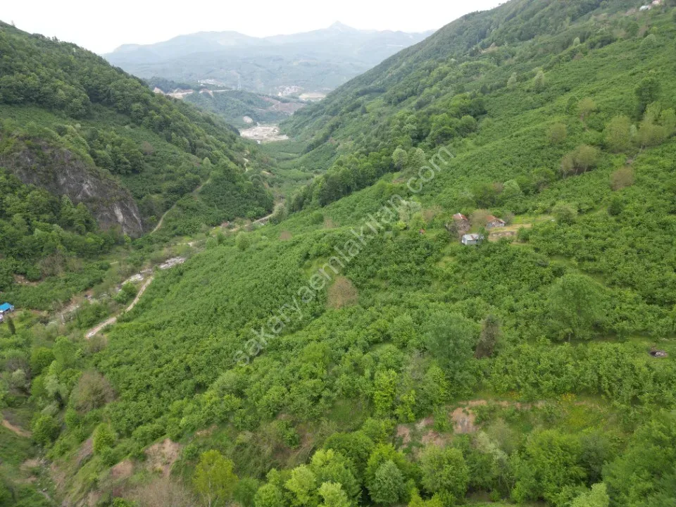 BALLIKAYA BARAJ MANZARALI SATILIK FINDIK BAHÇESİ KONUT İMARLI