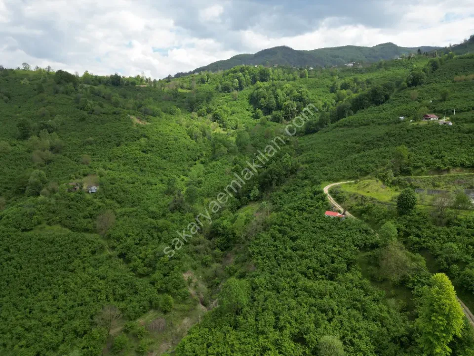 BALLIKAYA BARAJ MANZARALI SATILIK FINDIK BAHÇESİ KONUT İMARLI