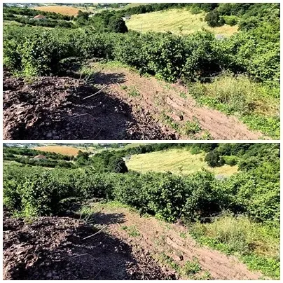 SAKARYA ADAPAZARI GÖKTEPE MAHALLESİNDE SATILIK ARSA