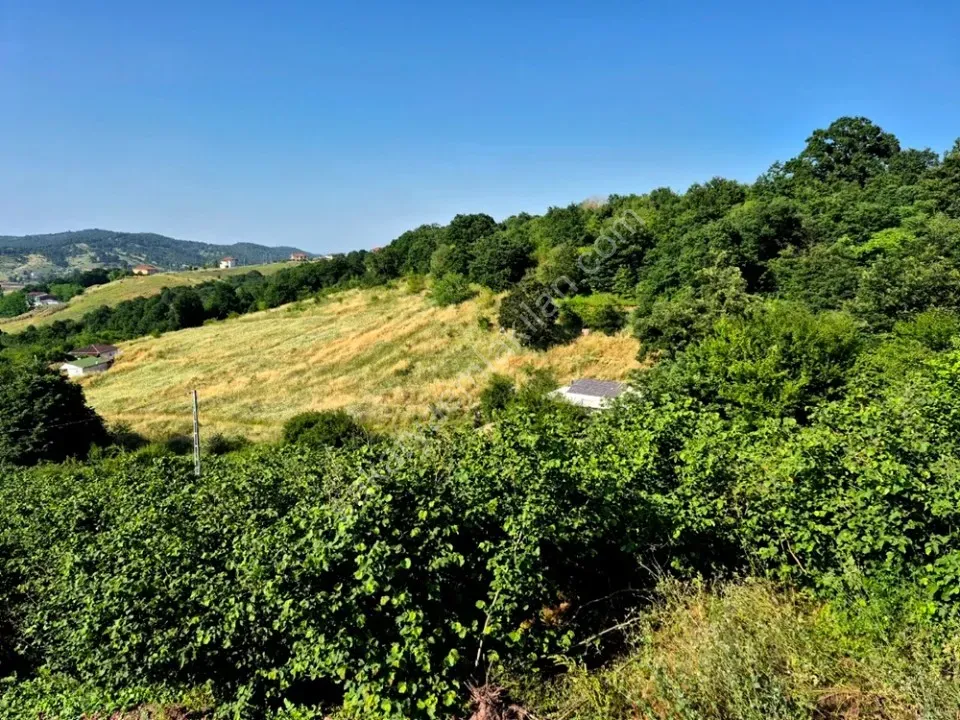 SAKARYA ADAPAZARI GÖKTEPE MAHALLESİNDE SATILIK ARSA