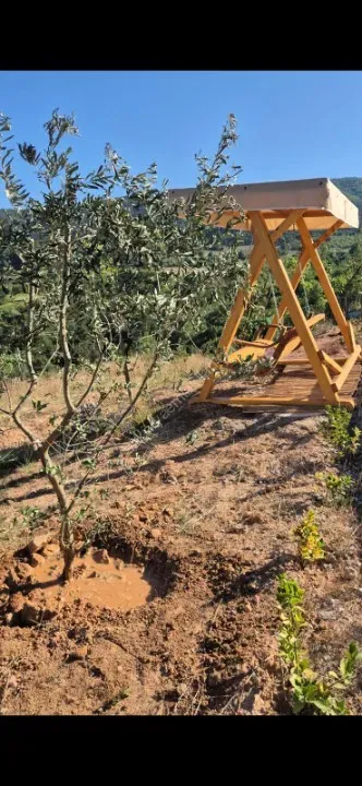 Sakarya Geyve'DE Eşsiz Orman manzaralı sahibinden satılık Müstakil Ev