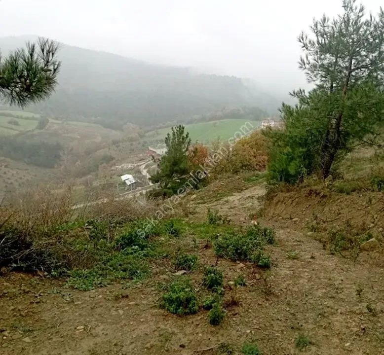 SAKARYA PAMUKOVA ŞAHMELEK'TE DOĞA İLE İÇ İÇE, YATIRIMLIK ARSA