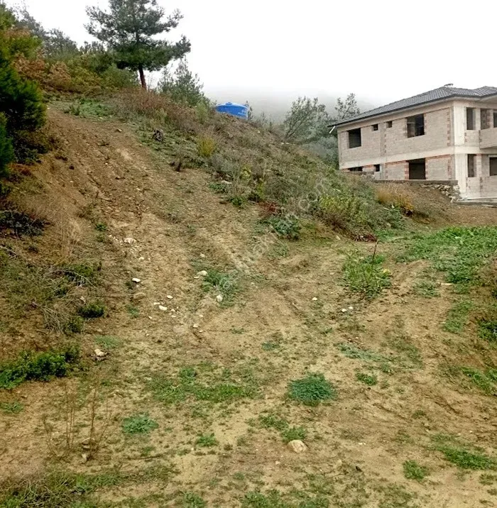 SAKARYA PAMUKOVA ŞAHMELEK'TE DOĞA İLE İÇ İÇE, YATIRIMLIK ARSA