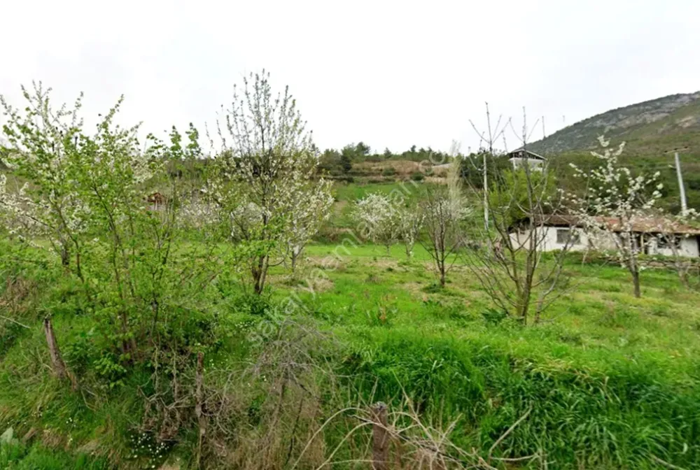 SAKARYA PAMUKOVA ŞAHMELEK'TE DOĞA İLE İÇ İÇE, YATIRIMLIK ARSA