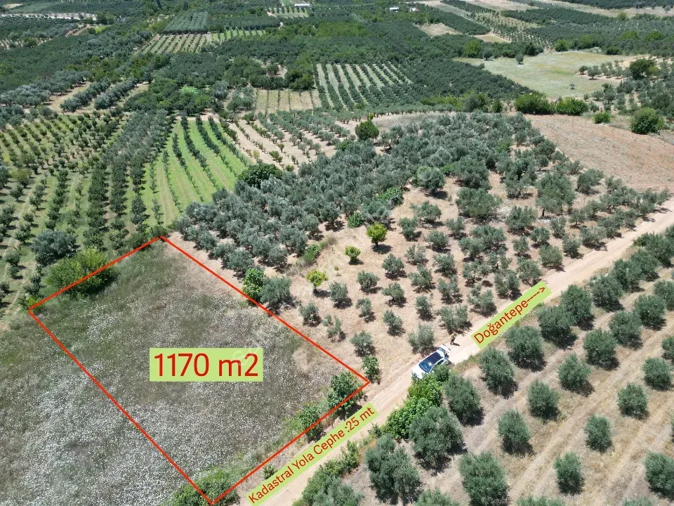Geyve Doğan Tepede 1170 m2 Hobi Bahçesi