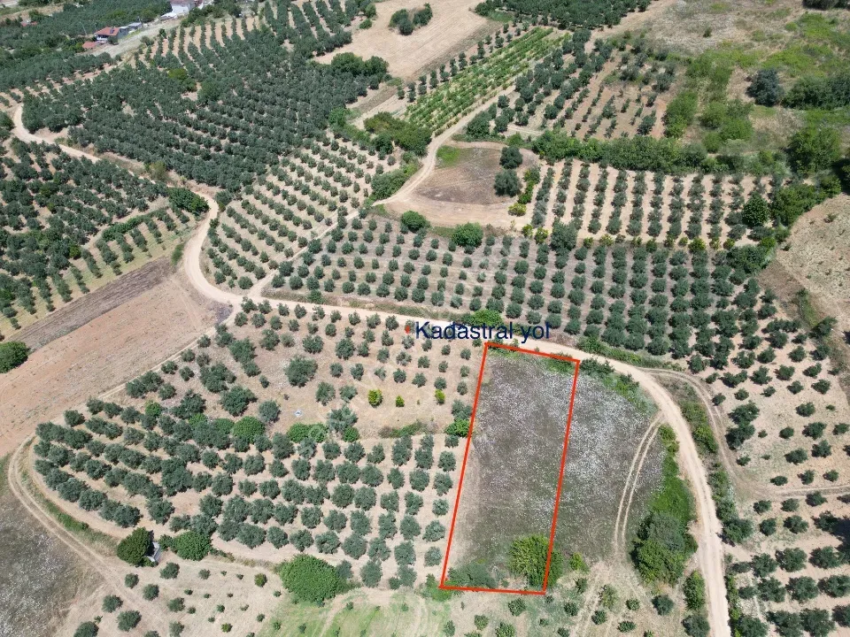 Geyve Doğan Tepede 1170 m2 Hobi Bahçesi