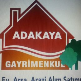 Ali kaya