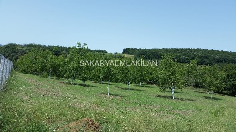 Satılık Arsa - Sakarya Serdivan Çubuklu Köyü