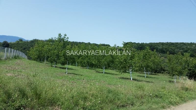 Satılık Arsa - Sakarya Serdivan Çubuklu Köyü