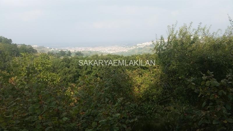 Satılık Arsa - Sakarya Serdivan Esentepe
