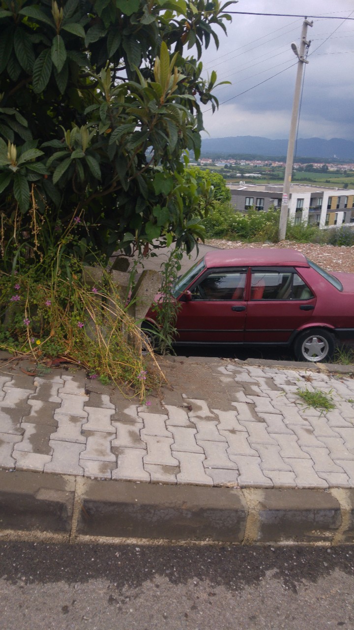 sakarya kiralık müstakil ev