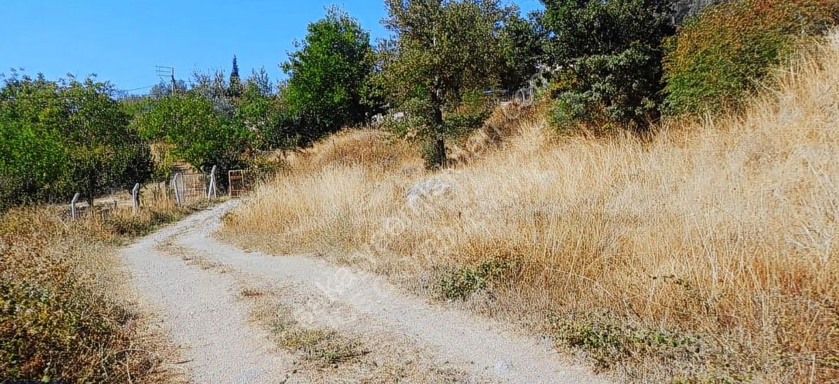 GEYVE DÜZAKÇAŞEHİR'DE 519 m² YATIRIM DEĞERİ YÜKSEK BÖGEDE İMARLI ARSA