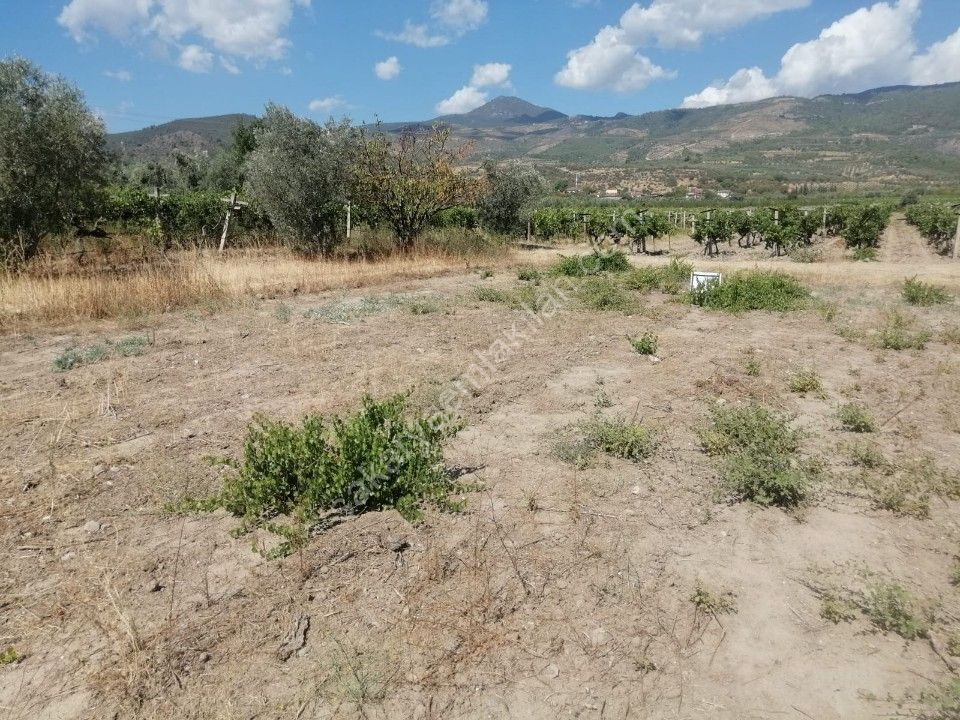 PAMUKOVA'DA  SATILIK TARLA