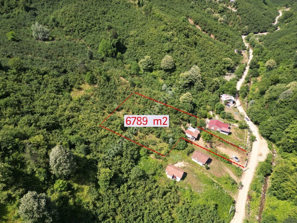 Sessizlik ve Doğa Arayanlara Özel Müstakil Yaşam Fırsatı