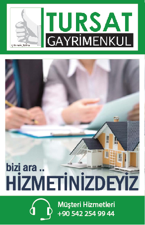 Resim
